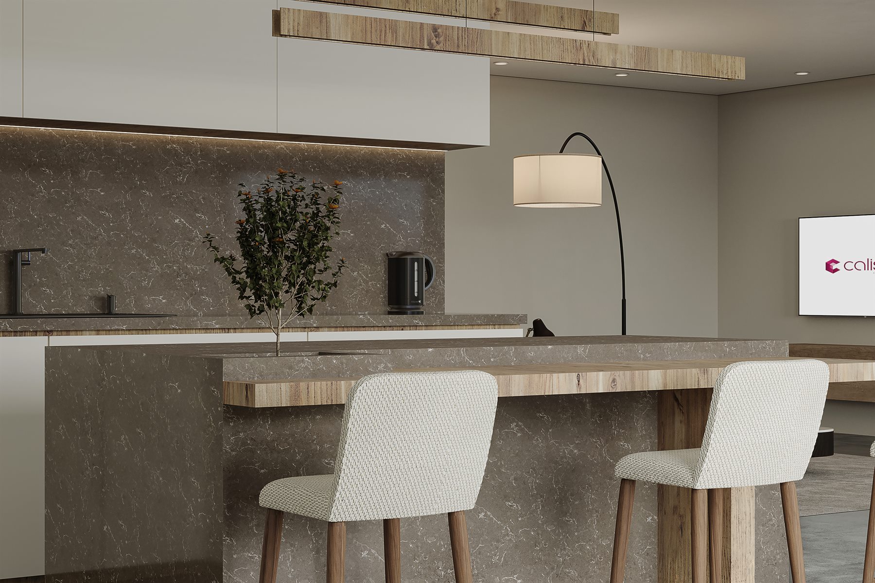 Nidia 2015 gorunum 2