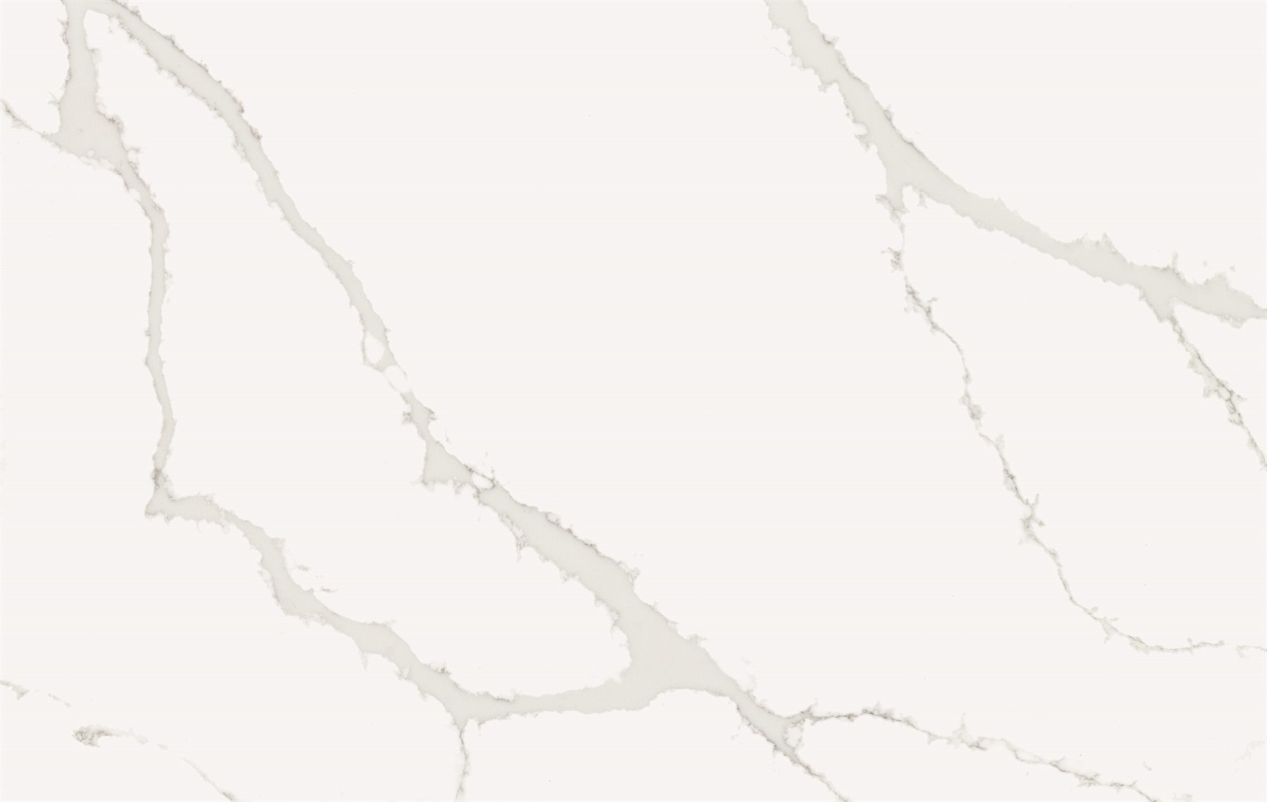 Calacatta Clara 7352