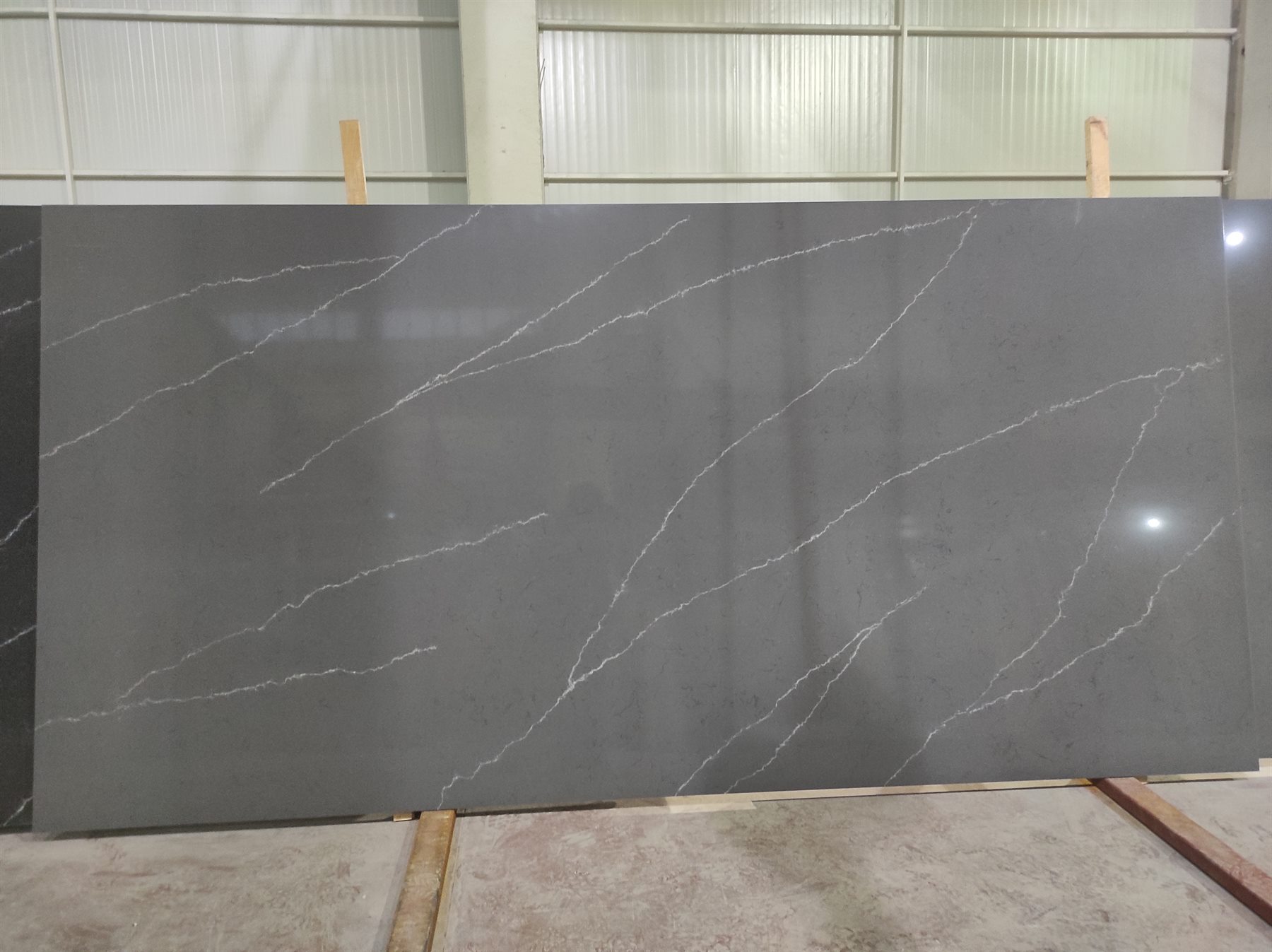 Felisia 3302 gorsel 2