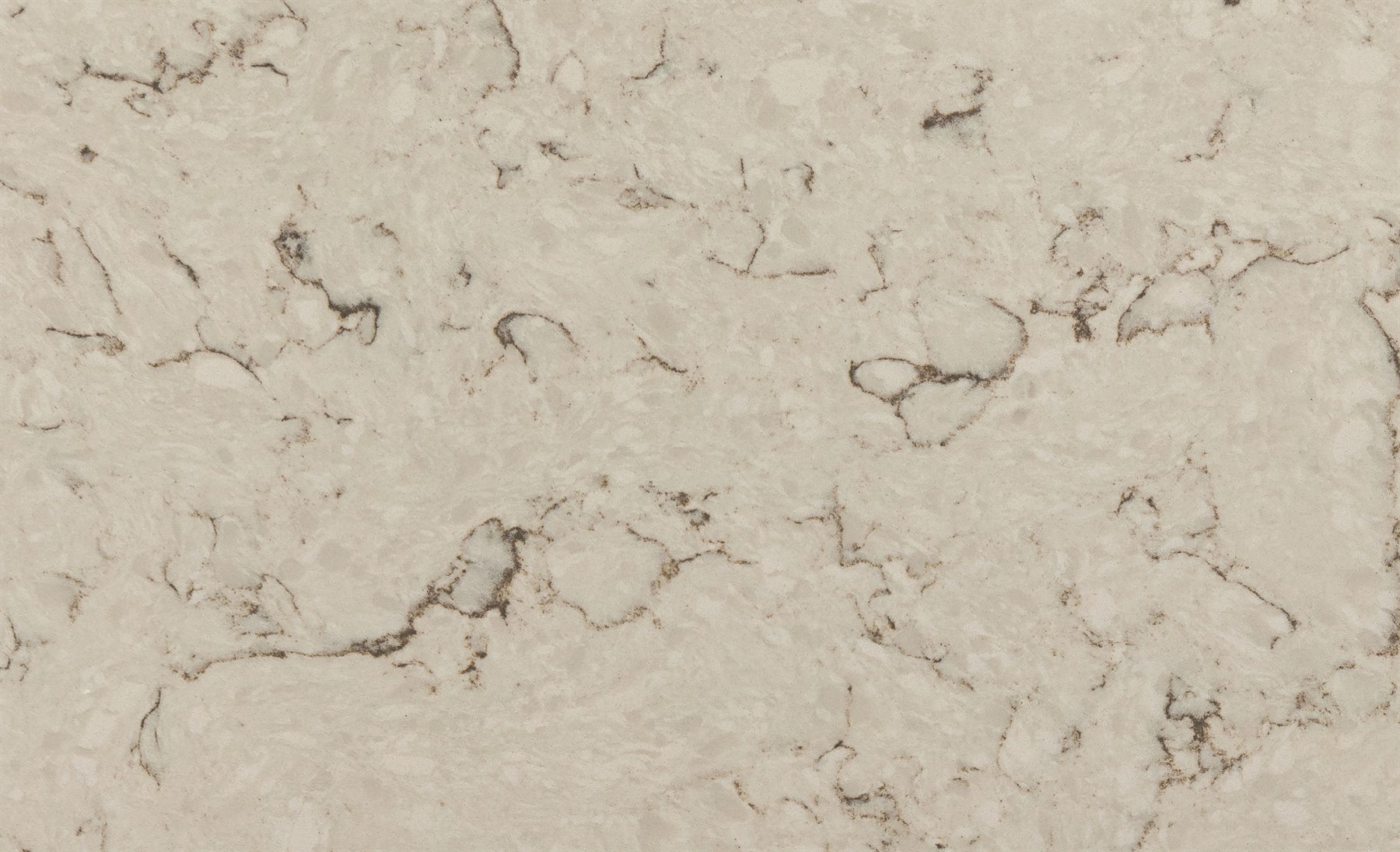 Olivia 4405 gorsel 2