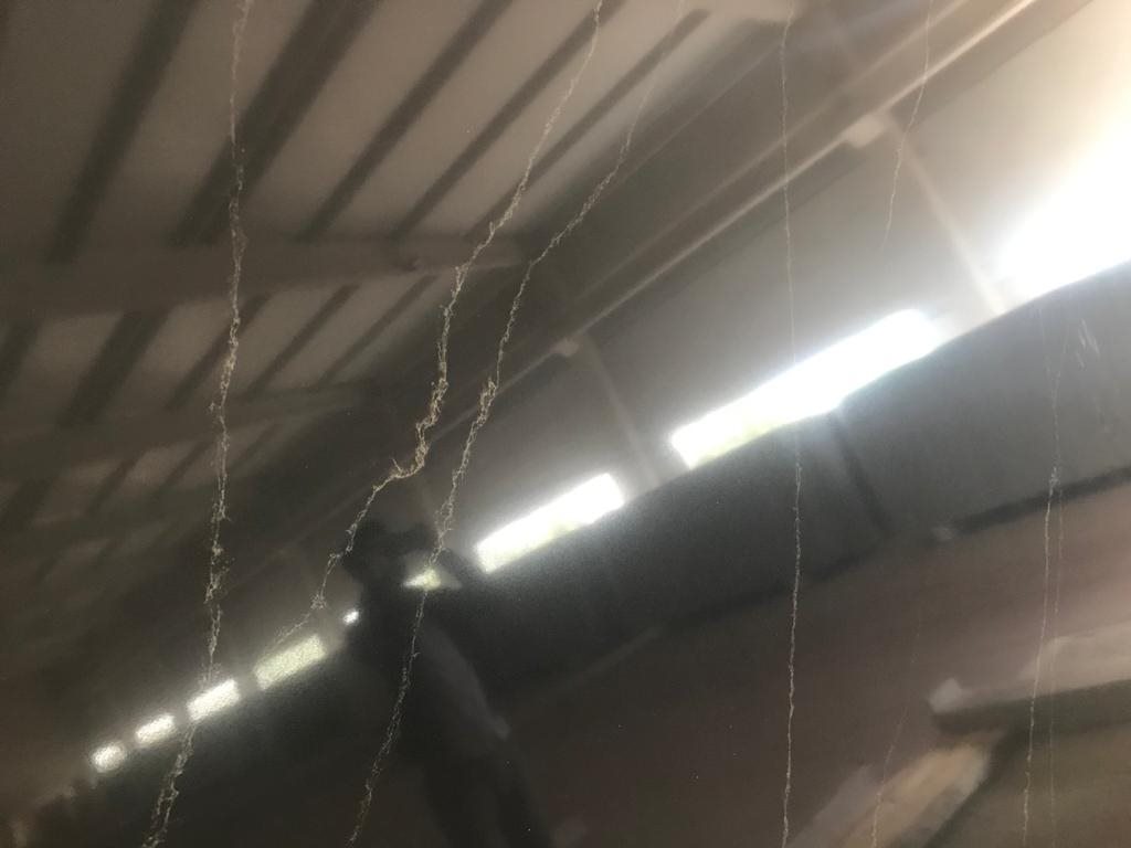 Statuario Oro 8013 gorsel 3